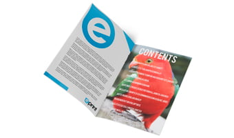 Custom Size Booklets (Saddle-Stitched) Custom Size Booklets (Saddle-Stitched)